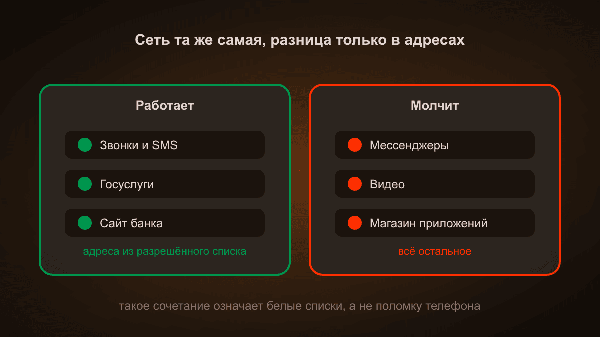 Схема: слева колонка того, что открывается — Госуслуги, банки, СБП. Справа колонка молчащего — мессенджеры, видео, магазин приложений. Сеть при этом одна и та же
