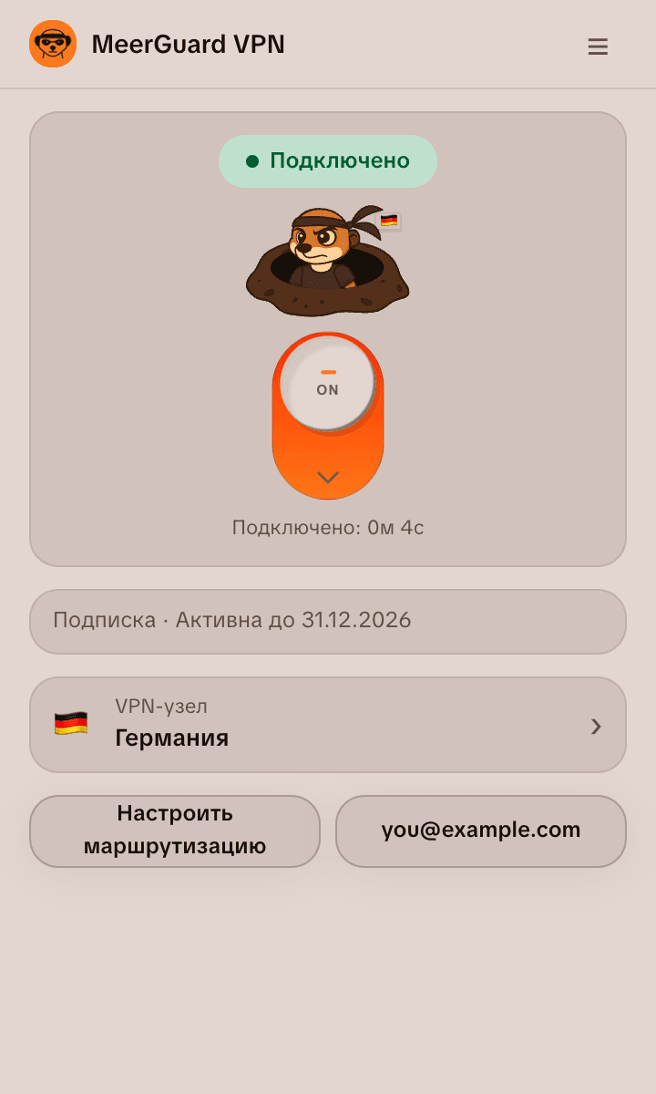 Окно расширения MeerGuard для Chrome: подключено к серверу в Германии, кнопки настройки маршрутизации и аккаунта